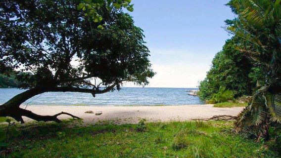 Rubondo Island