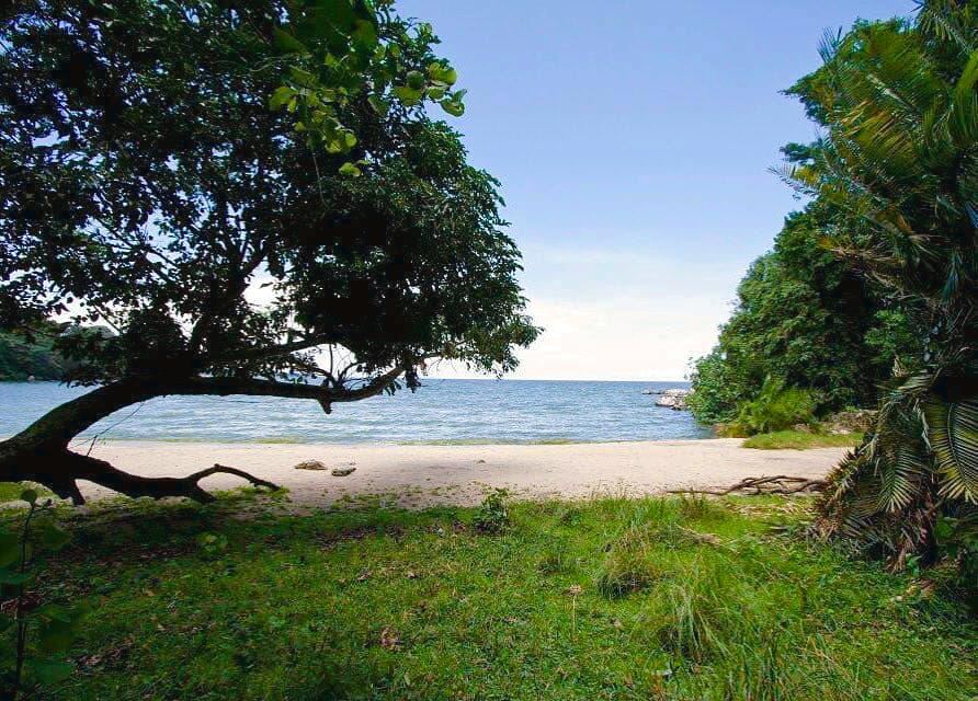 Rubondo Island