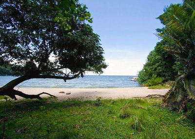 Rubondo Island