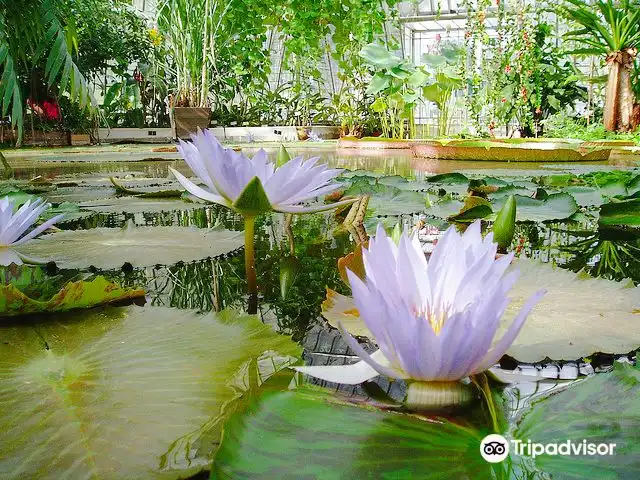 Hotels near Bergius Botanic Garden