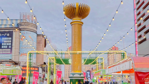 dong yi tiao lu bu xing jie