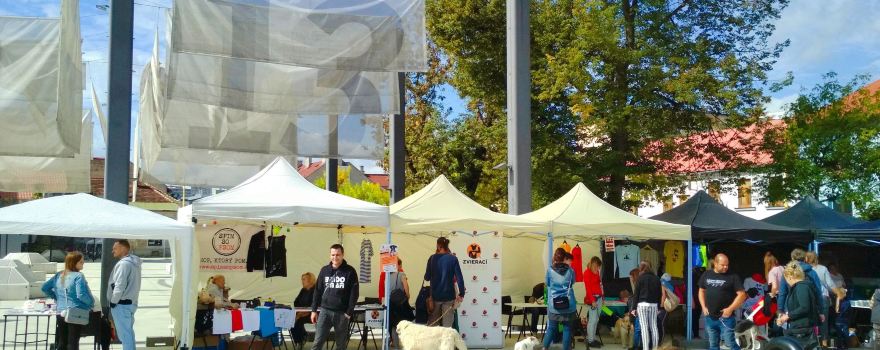 Kasárne/Kulturpark