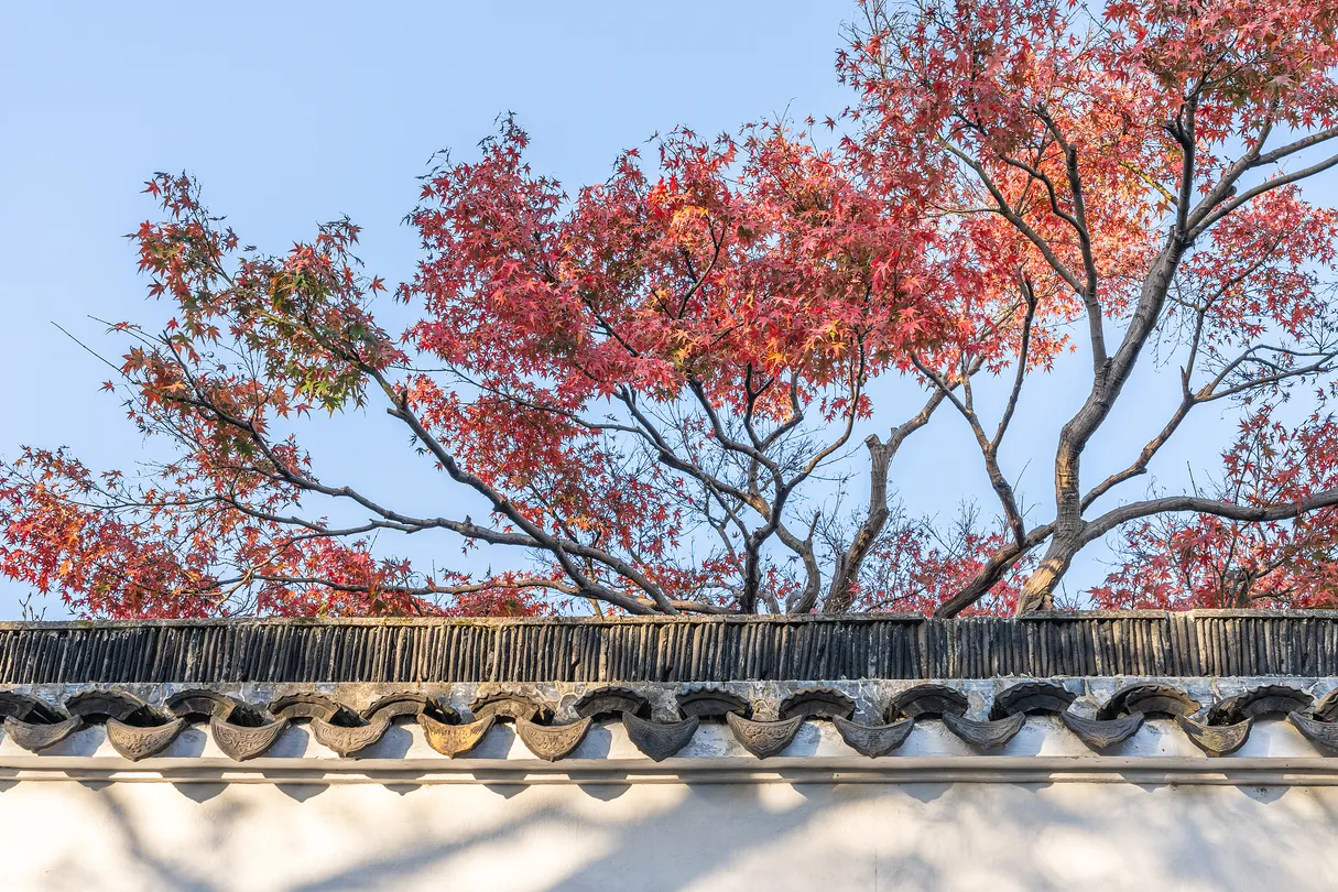 5_Master-of-Nets Garden(Wangshi Garden)
