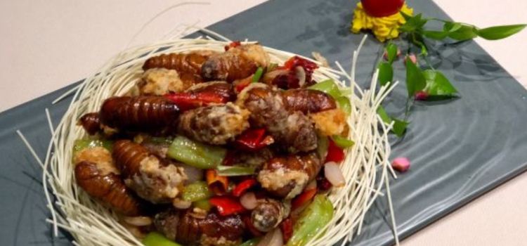 漫步丝路餐饮