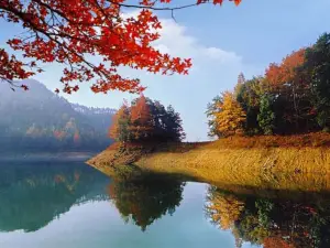 퉁루의 가을 경치 베스트 10
