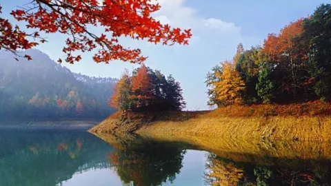 Qinxi Xianggu Scenic Area attraction in ถงหลู่