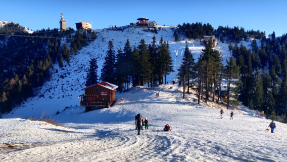 Braşov