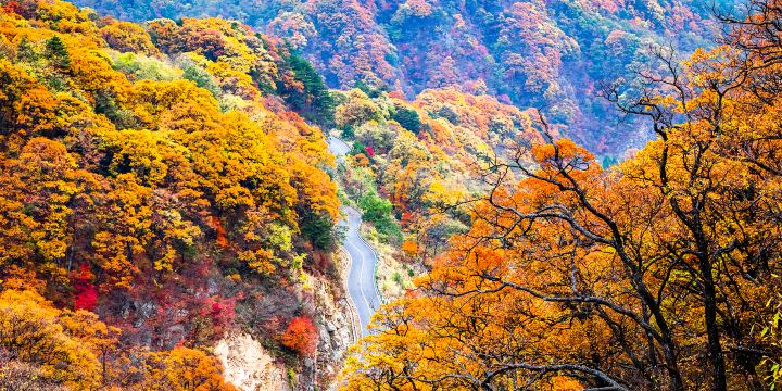 Mazongling Nature Reserve