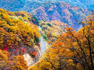 Mazongling Nature Reserve