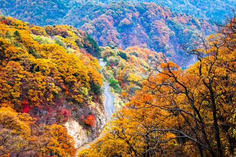 Mazongling Nature Reserve