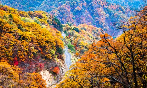 Mazongling Nature Reserve