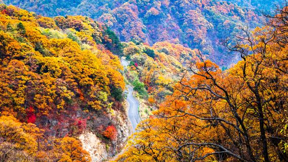Mazongling Nature Reserve
