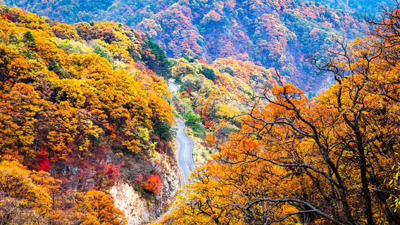 Mazongling Nature Reserve