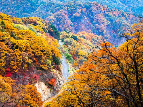 六安市金寨縣馬鬃嶺風景區