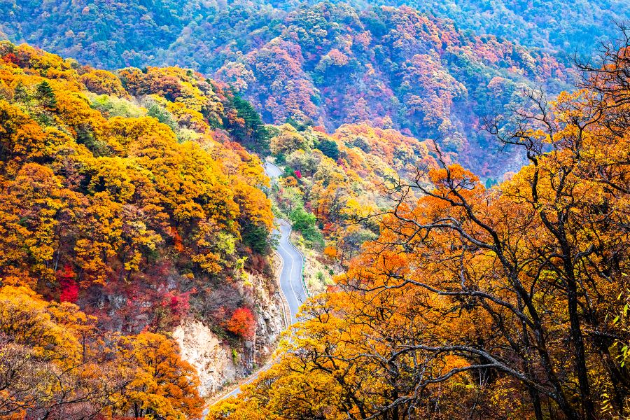 六安市金寨縣馬鬃嶺風景區