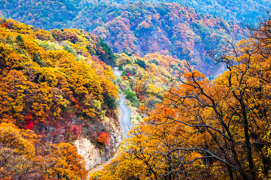 Mazongling Nature Reserve