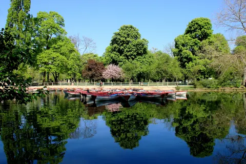 Bois de Vincennes