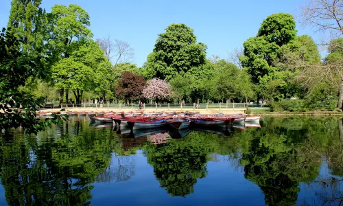 Vincennes Woods