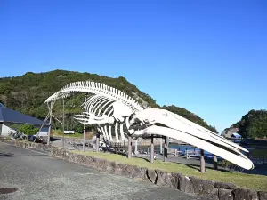 Taiji-cho Whale Museum