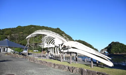 Taiji-cho Whale Museum