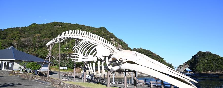 Taiji-cho Whale Museum