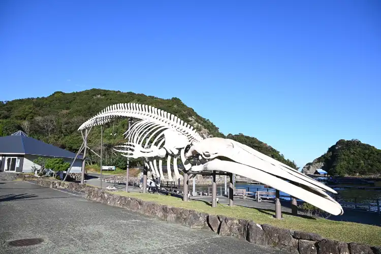 Taiji