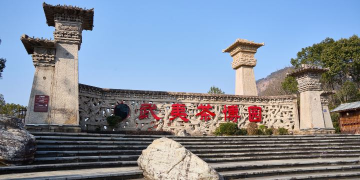 China Wuyi Tea Exhibition Garden