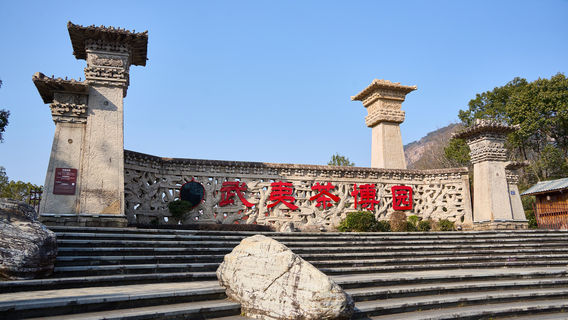 China Wuyi Tea Exhibition Garden