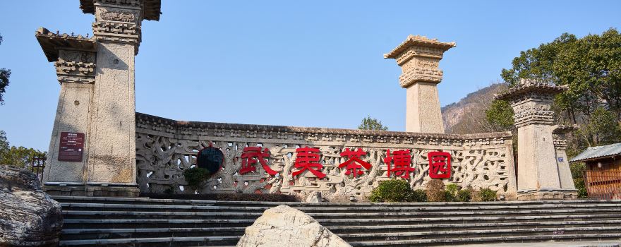 China Wuyi Tea Exhibition Garden