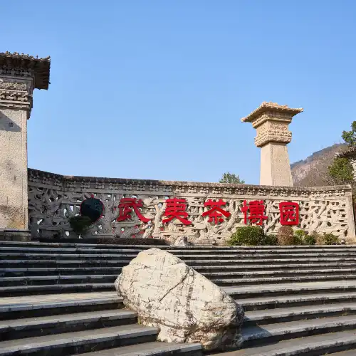 China Wuyi Tea Exhibition Garden