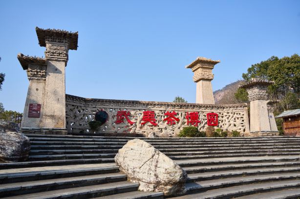 China Wuyi Tea Exhibition Garden