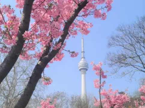 亀山公園