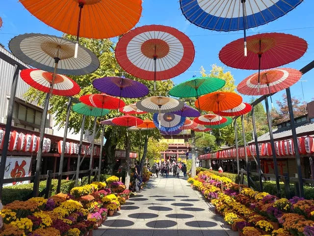 Kasama Chrysanthemum Festival | Kasama