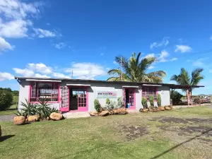 Skydive Mauritius