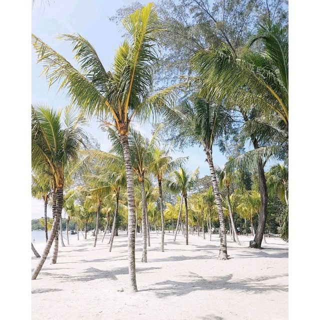 Pantai Kok 
