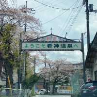吹割の滝&日帰り老神温泉の旅