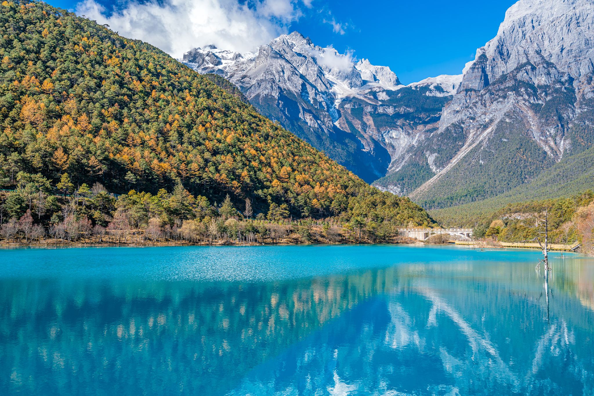 Private tour from Lijiang: Jade Dragon Snow Mountain + Glacier Park Cableway + Blue Moon Valley [Chartered vehicle + Entrance tickets]