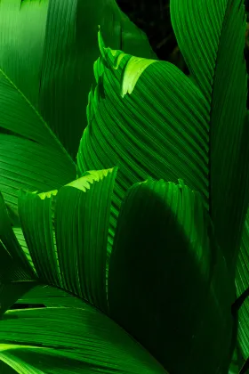 Бутик Отели в г. Цинциннати