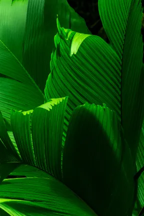 Бутик Отели в г. Толедо