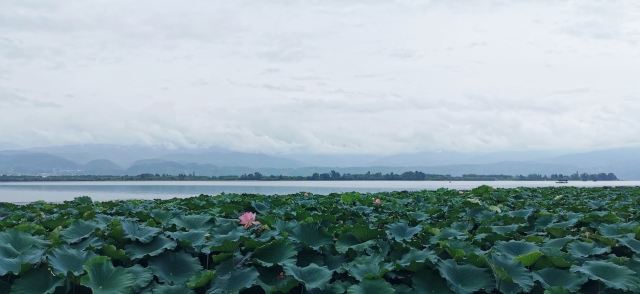 Qionghai National Wetland Park