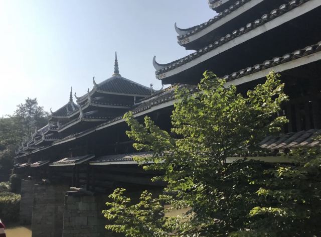 청양빠자이