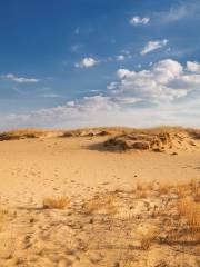 붉은모래사막