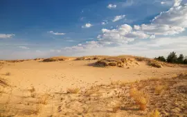 Red Sand Dunes