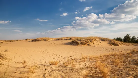 Red Sand Dunes