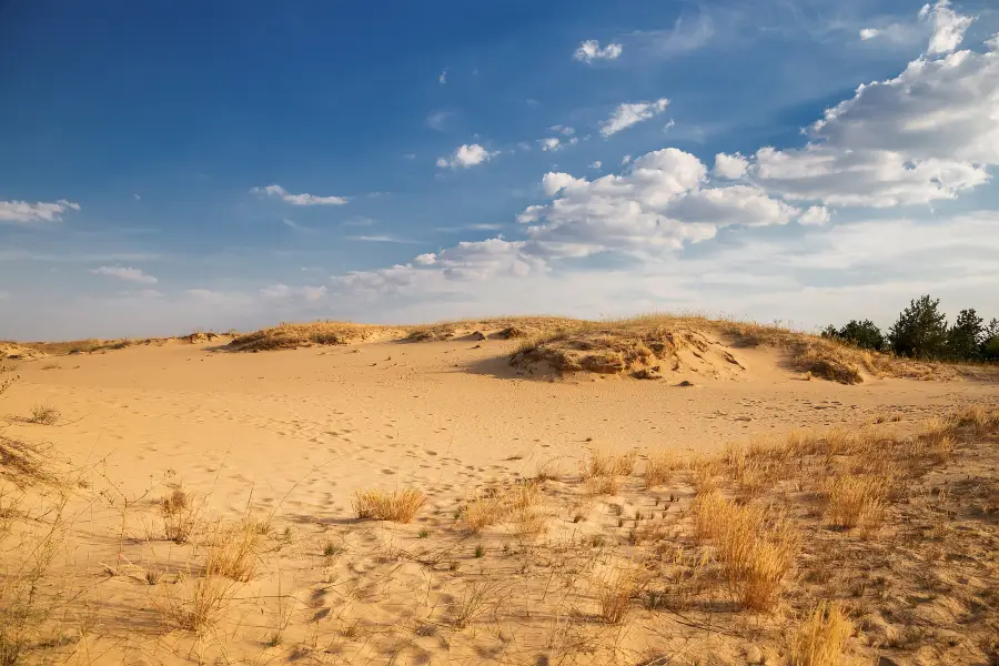 Red Sand Dunes