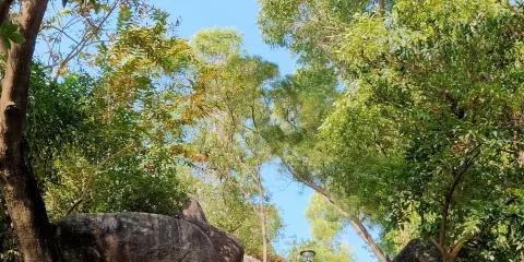 石花山公園
