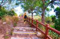 【粉嶺好去處】極簡易路線｜ 打卡路線攻略｜