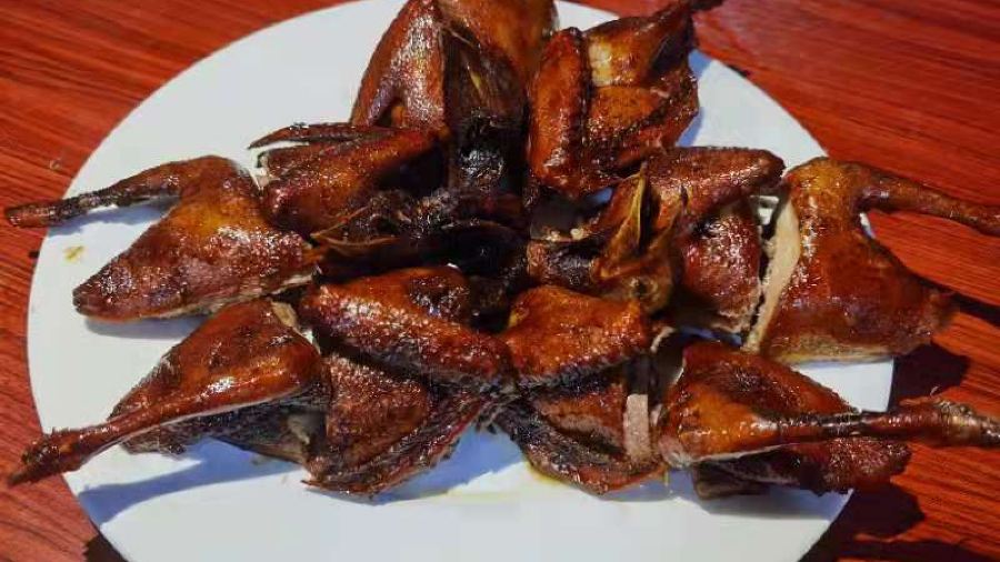 Lumen Farm Family Resort