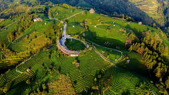 布央茶山観光区