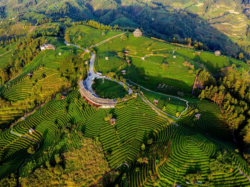 布央茶山旅遊區